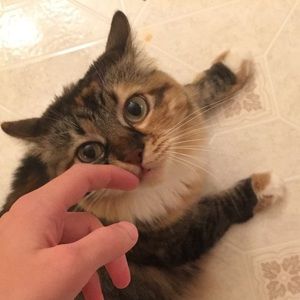 Meet your Posher, Austin